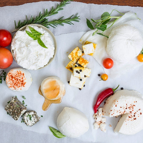 Make Your Own Cheese Kit