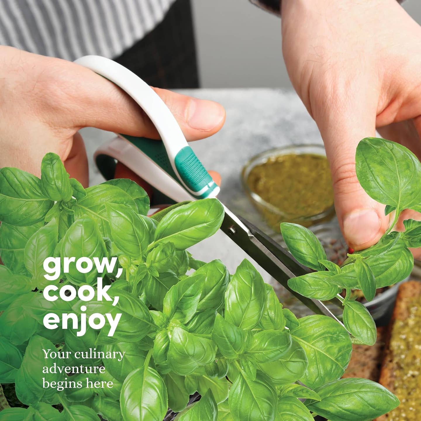 Grow Your Own Herbs Kit