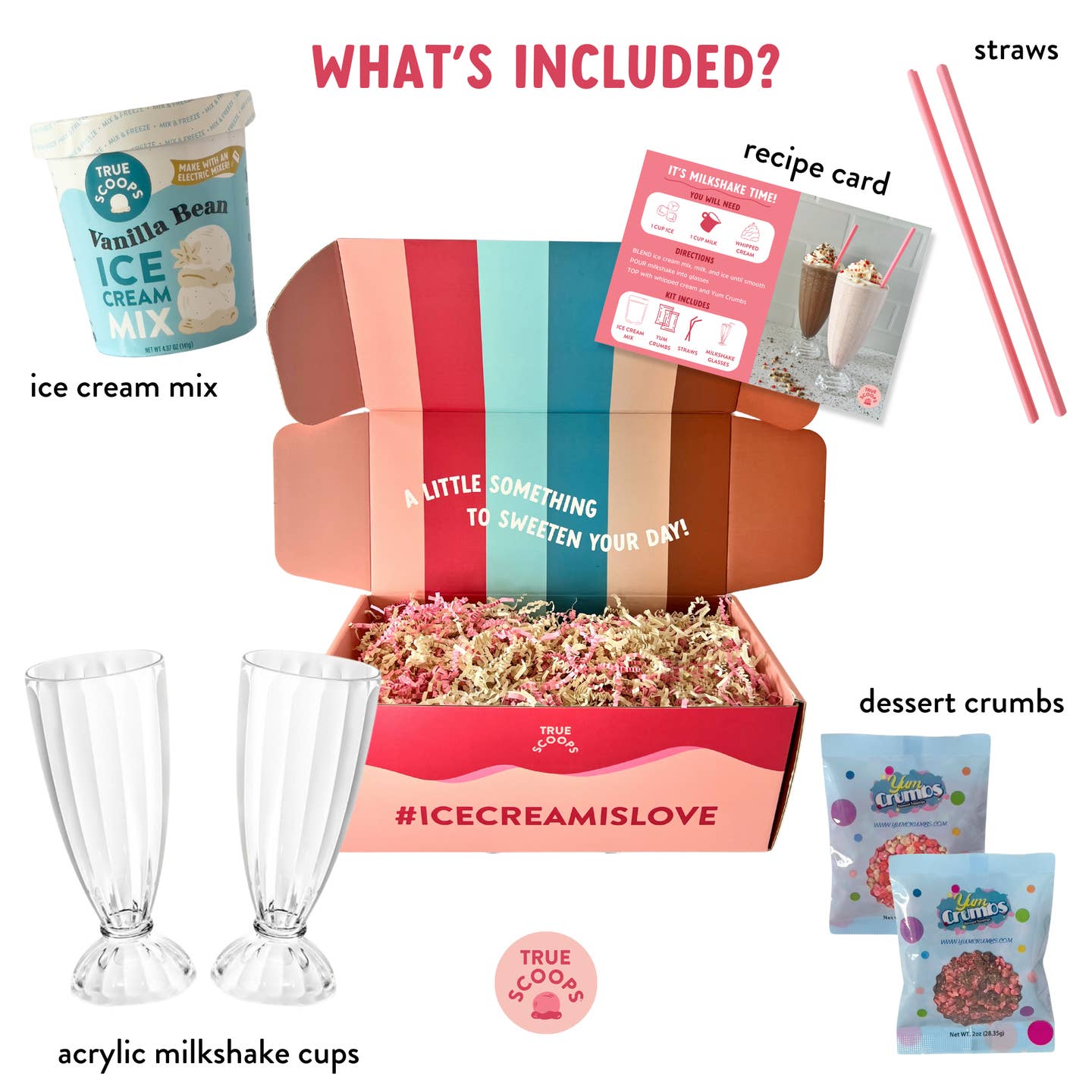 Milkshake Making Kit